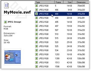 SWF Extractor