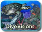 DiveVisions