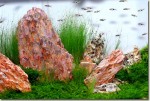 AquaScape