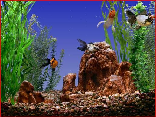 goldfish aquarium prolific