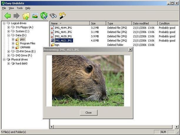 Easy-Undelete Ekran Goruntusu