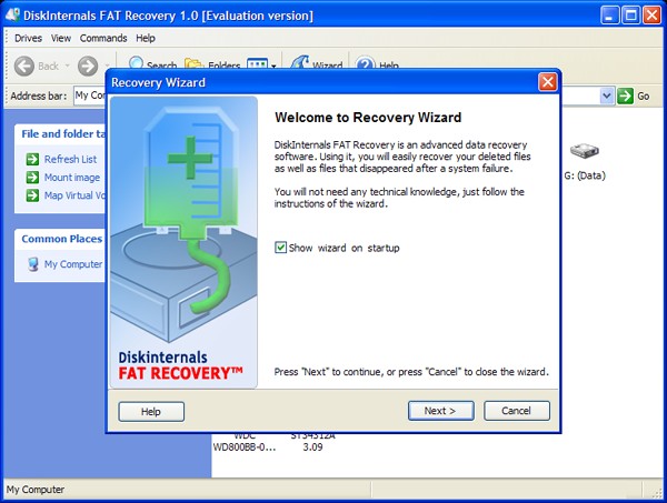 DiskInternals FAT Recovery