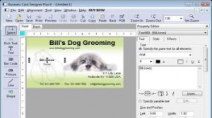Business Card Designer Plus 9.5