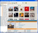 Collectorz.com Music Collector