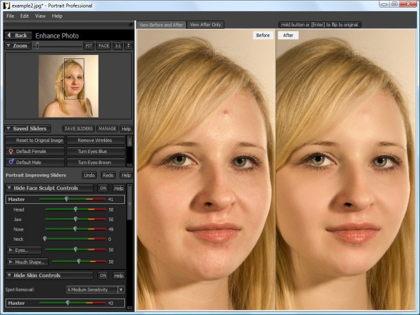 Portrait Professional 8.1