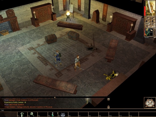 Neverwinter Nights