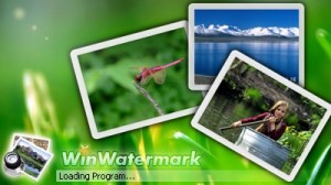 WinWatermark