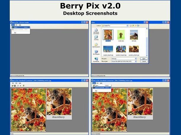 Berry Pix 2