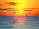 3D Ocean Sunset