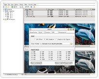 Graphics Converter