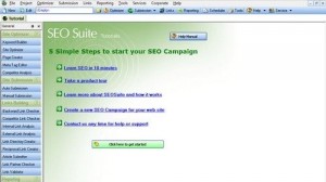 SEO Suite